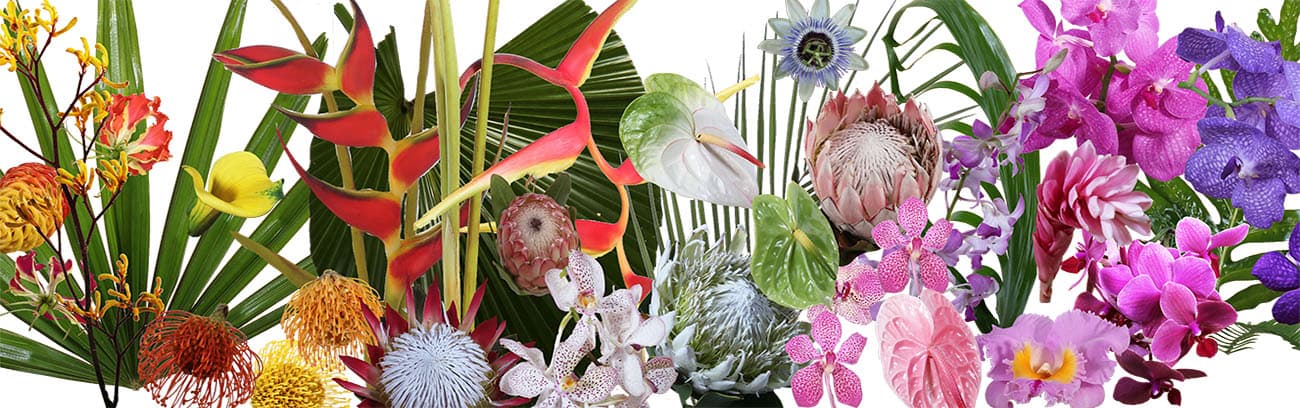 Floral Supplies